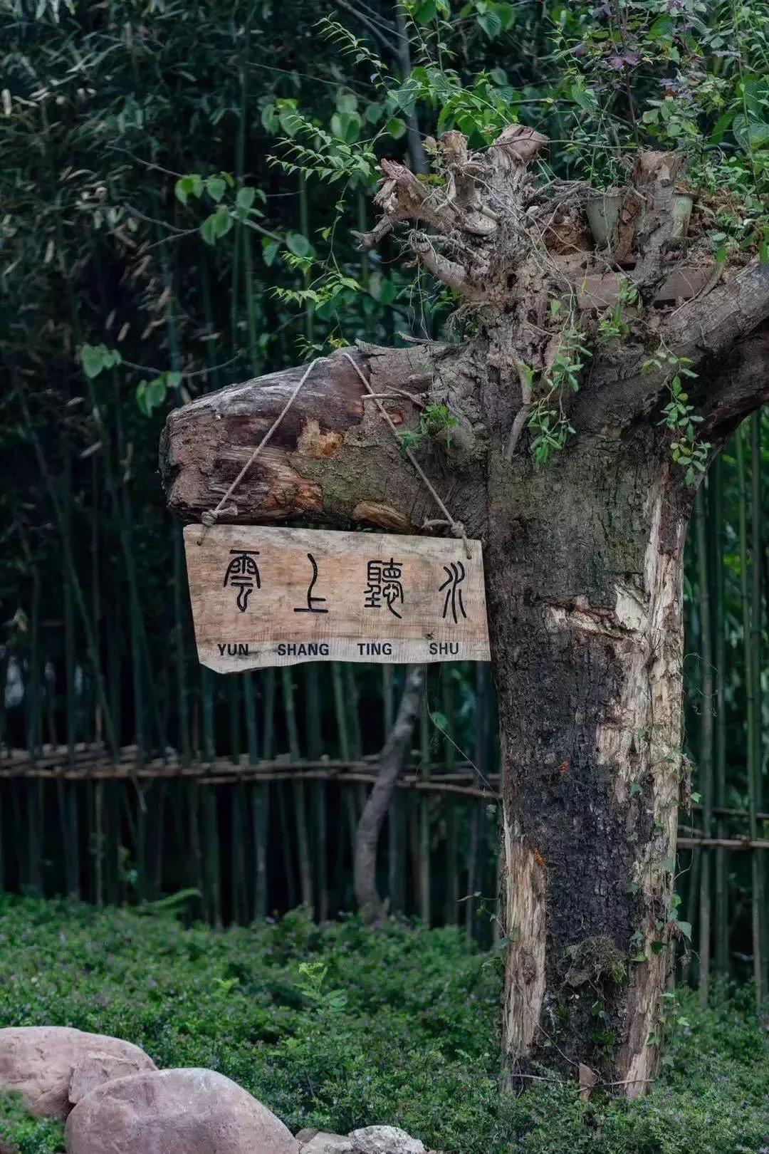 9月第一天旅游,雅安9月旅游线路推荐四天三夜