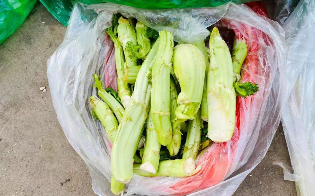 菜市小趣（社会扫描）