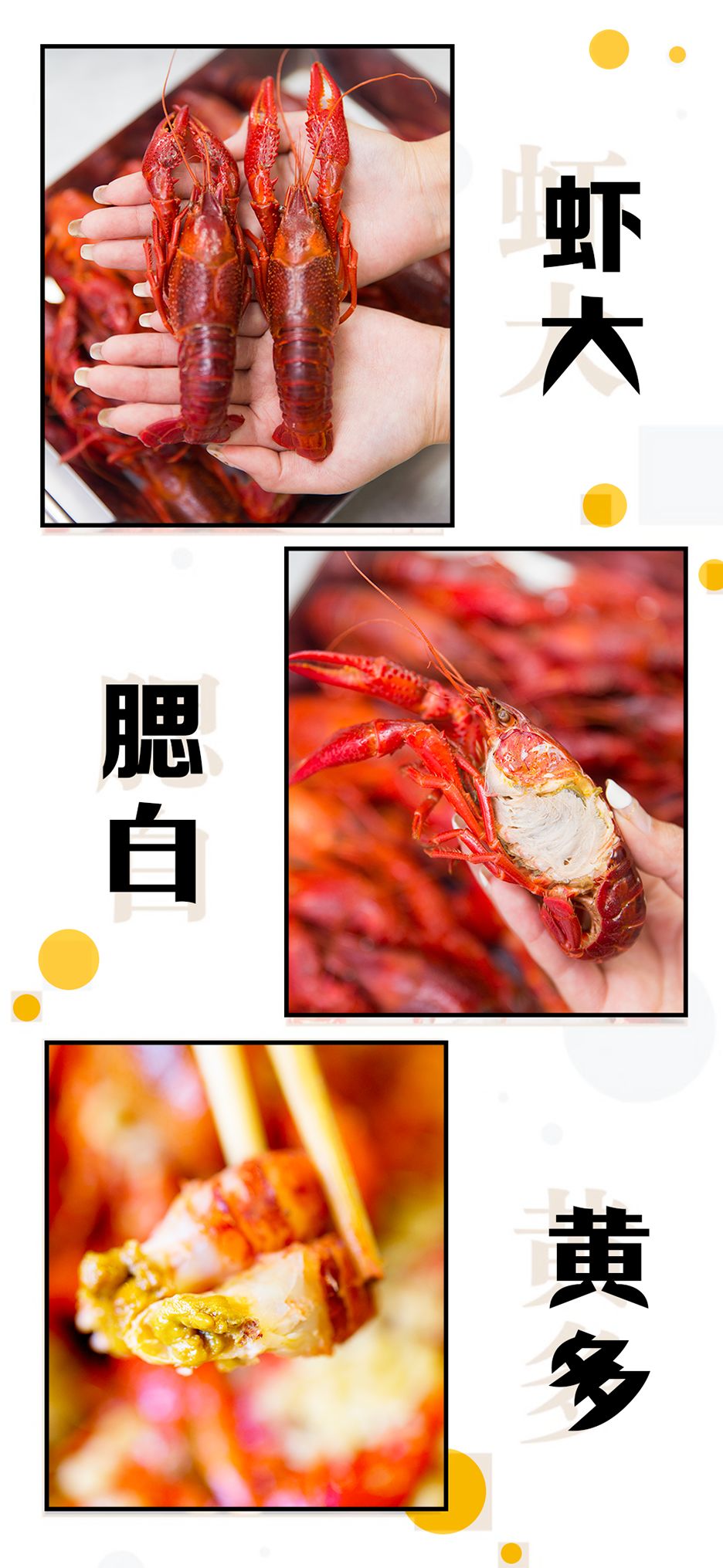 半个娱乐圈都打卡的眼镜小腰在簋街开店了！竟然3天五折！