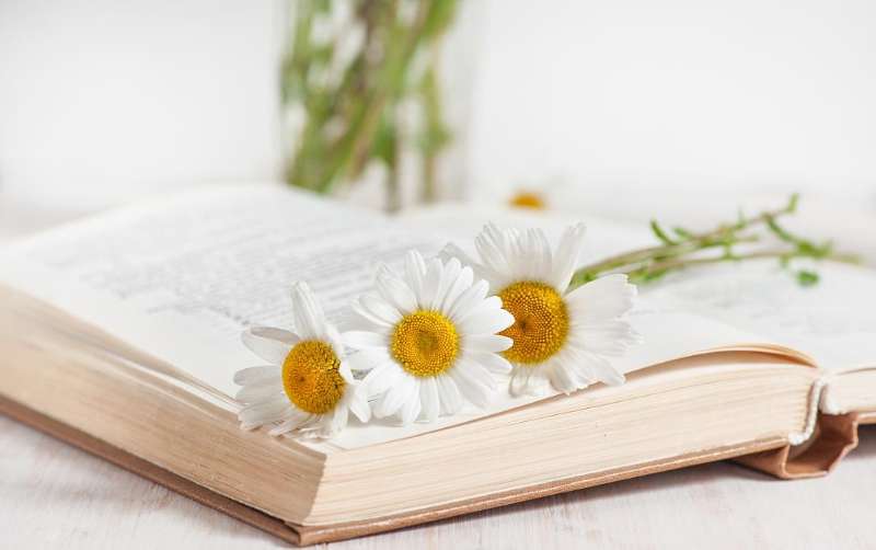 通过写作赚钱去哪里投稿,写作投稿真的能赚钱吗