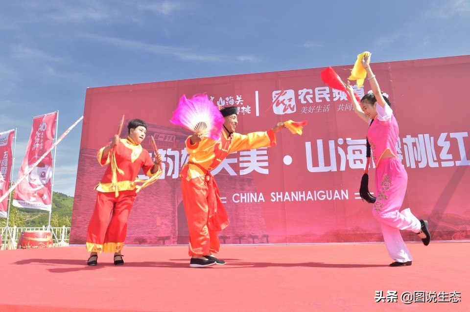 山海关:一沟大樱桃换来半坡别墅