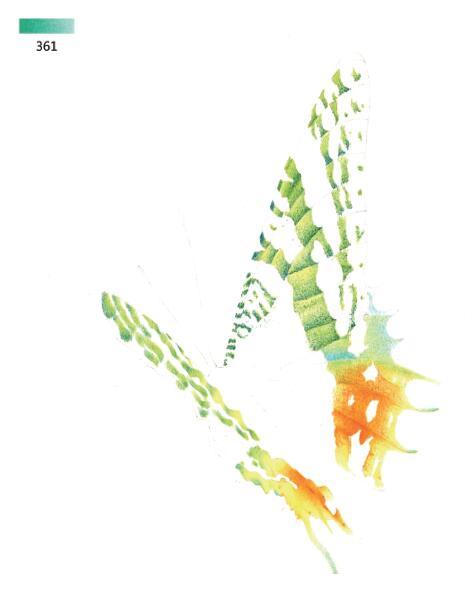 3d错觉画教程,3d错觉画作品