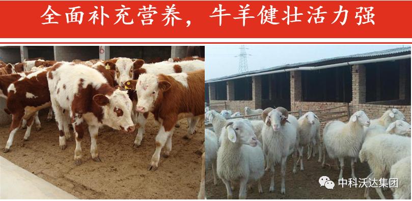 益力健枯草芽孢杆菌,益力健牛羊专用中成药