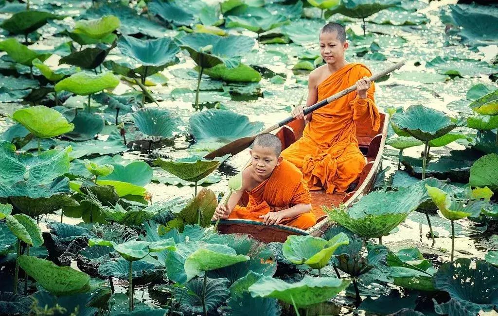 渡人就是渡己吗,渡人就是渡己渡己也是渡人