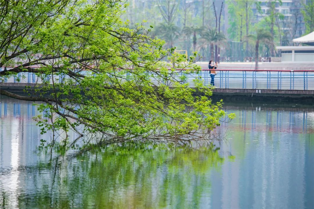 成都绿道被隔开,成都被3条路包围的楼盘