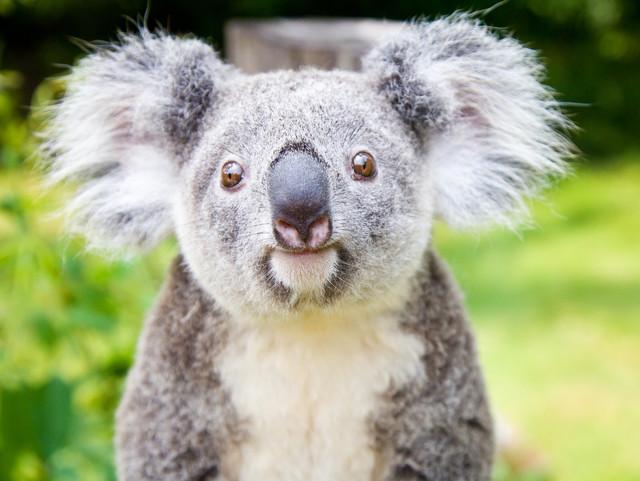 广州珠海长隆两地攻略,广州长隆欢乐世界亲子游游玩攻略