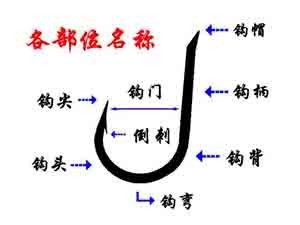 新手绑钩视频教程,新手绑钓鱼钩视频