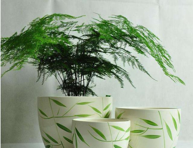 羊粪有机肥适合什么植物,羊粪鸡粪哪种种菜好