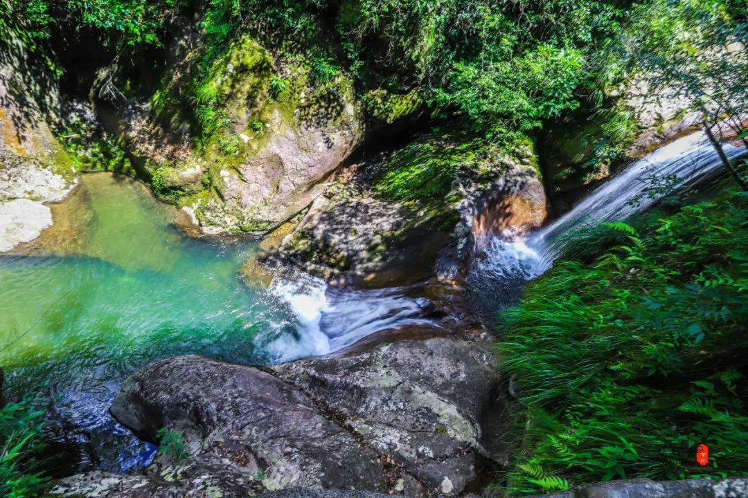 比乌镇安静比南浔古朴,藏不住了这里有最炫秋色