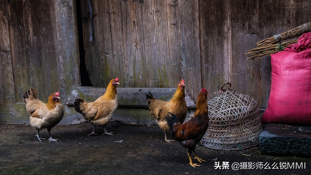 贵州偏远山村与世隔绝,贵州从江县偏远山区最穷村寨生活