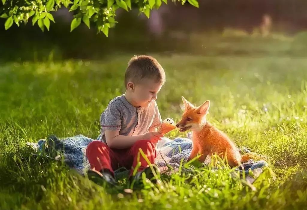 重庆神童13岁被清华录取,重庆5岁神童保送清华