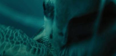 富二代人骨皮包的真实图片,人骨皮包真相曝光