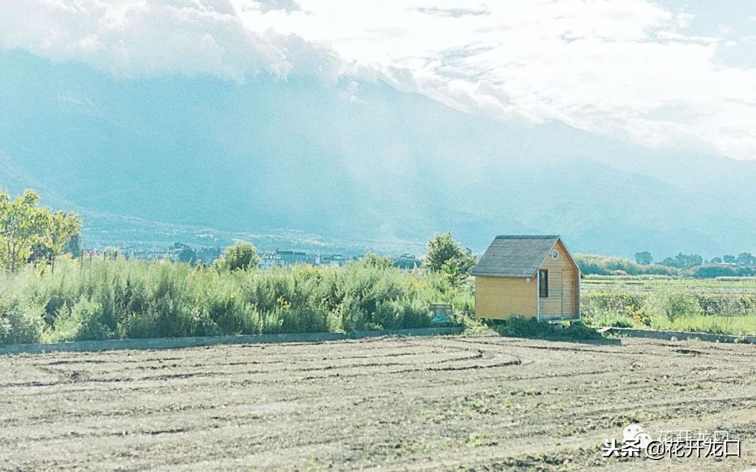 不要把话说得太满了,七甲镇王洪莲照片
