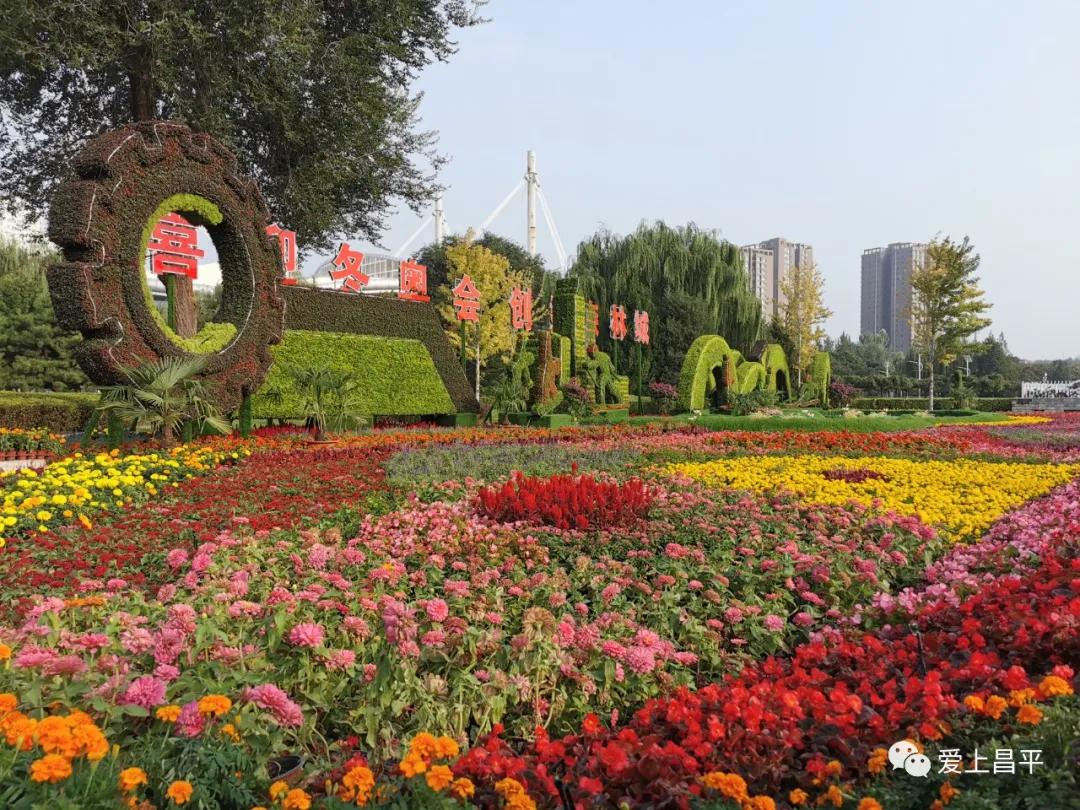 人间最美的旅游地,人间最美四月天去哪里玩