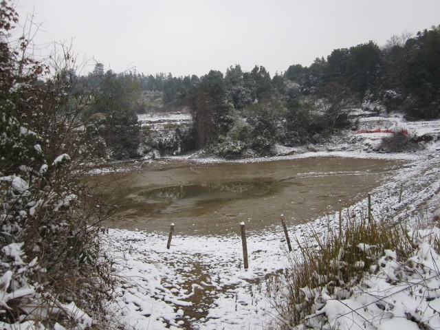 承包一片鱼塘,承包一个鱼塘的前景