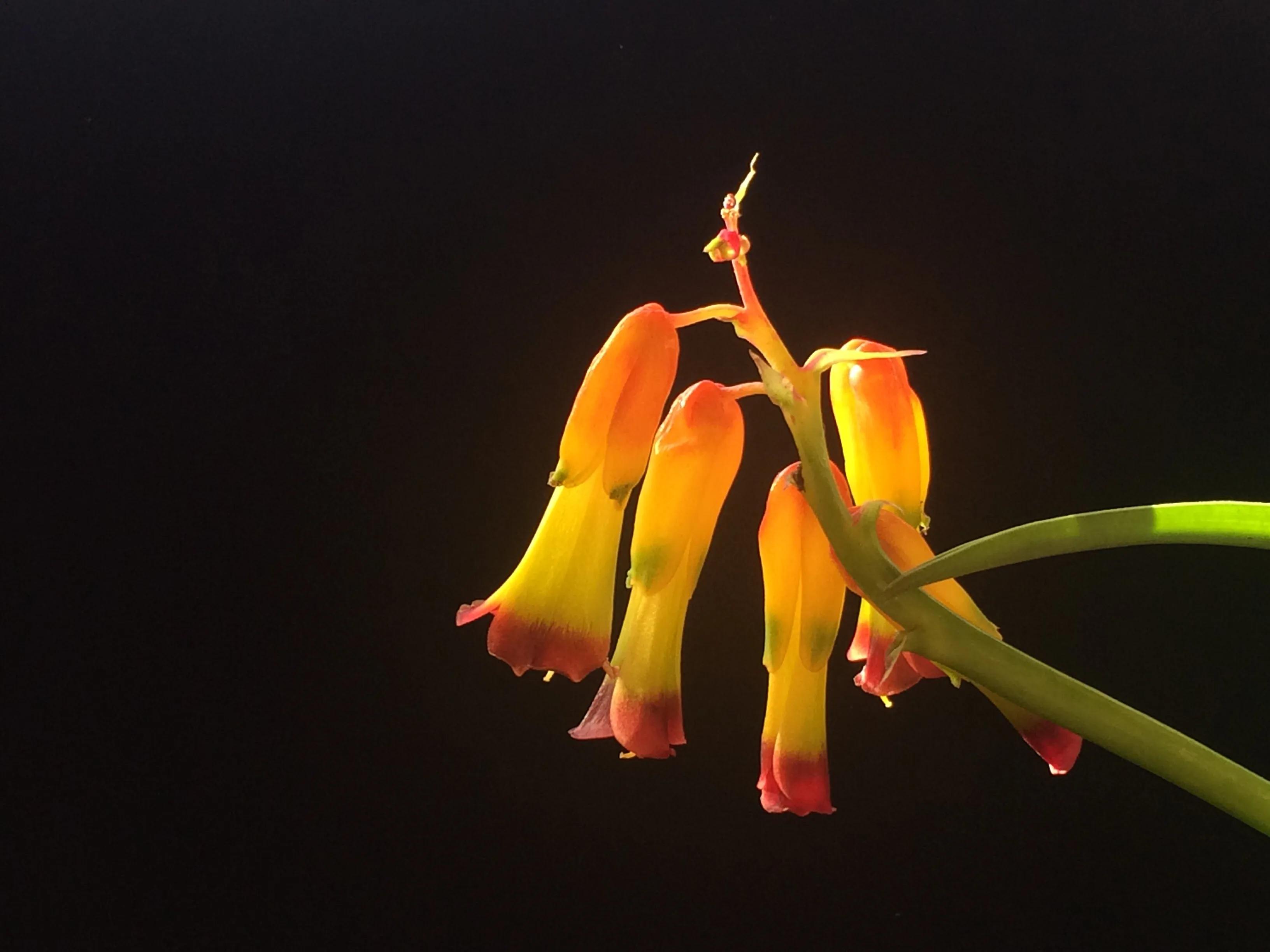 手机摄影手册圈友作品选第5期,手拍世界摄影交流平台