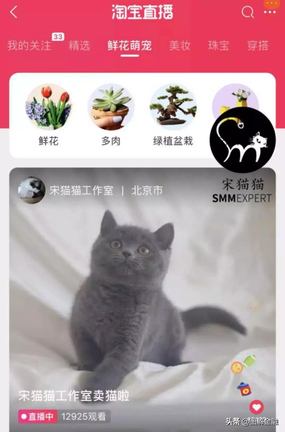 举报宠物店暴利,开宠物店会血本无归吗