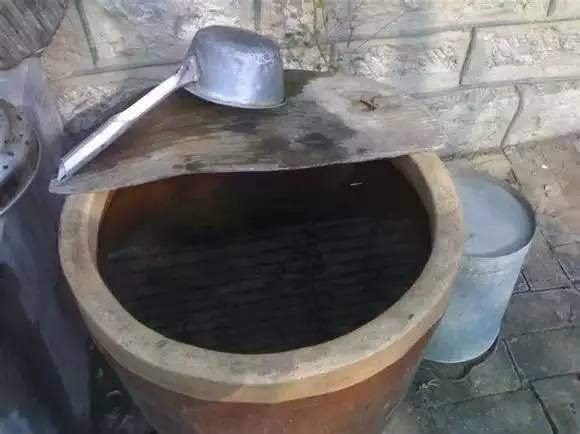 用老水缸来种荷花,旧水缸种莲藕视频