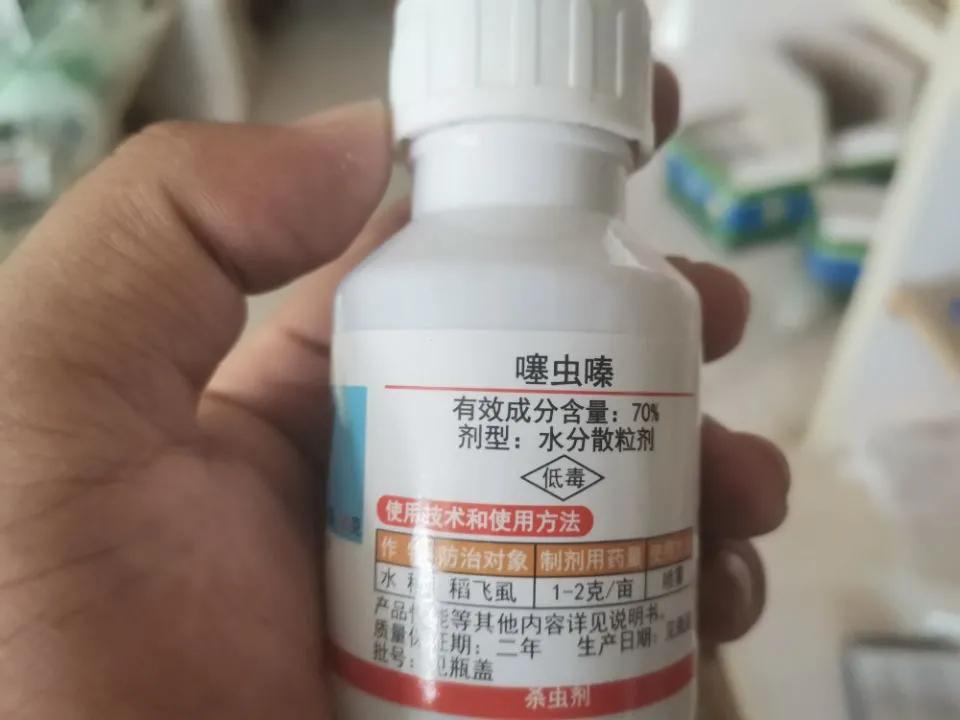 豆角蓟马最有效的防治方法,茄子蓟马最佳防治方法