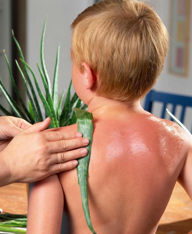 超好用的一款芦荟胶,排名第一的纯天然的芦荟胶