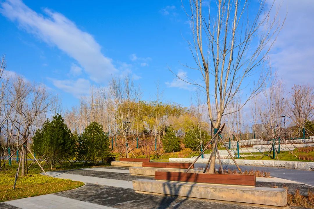 春意盎然北京五大公园,北京区级综合性公园