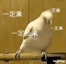 战双帕弥什丽芙仰光值得养吗,战双帕弥什丽芙仰光怎么玩