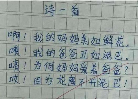 小学生奇葩打油诗,学生打油诗搞笑