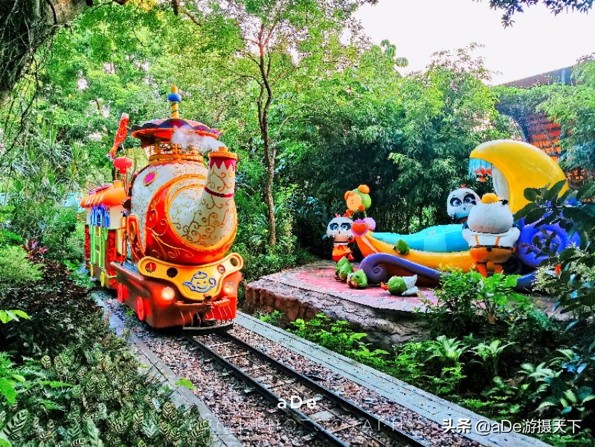 广州长隆野生动物园夜场,长隆嘉年华夜场17号有什么节目