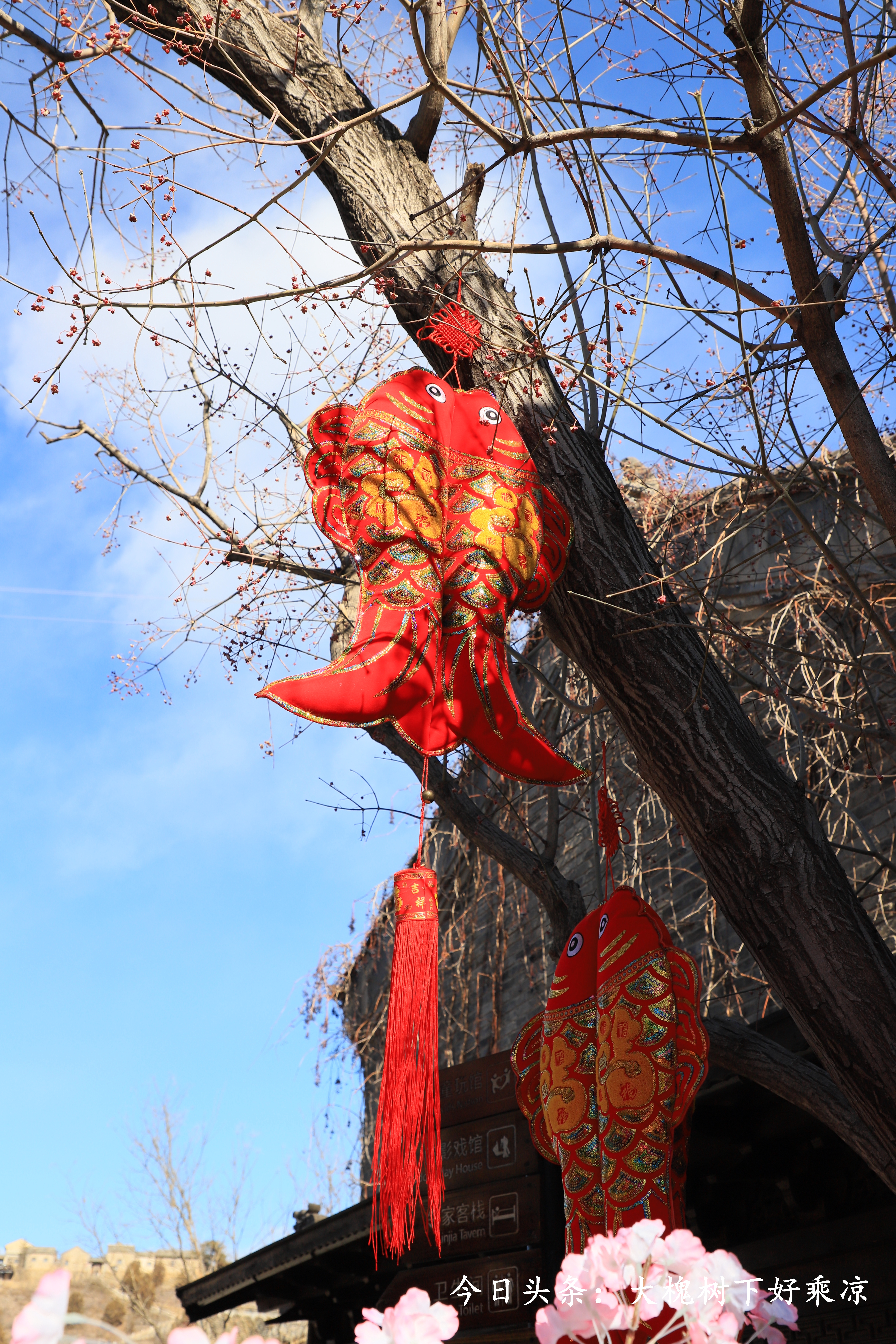 古北水镇古镇旅游,揭秘古北水镇风景之上的生活