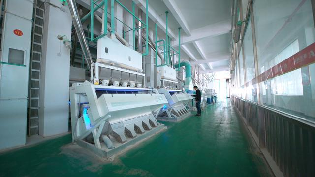 康宏粮油集团有限公司,康宏粮油食品