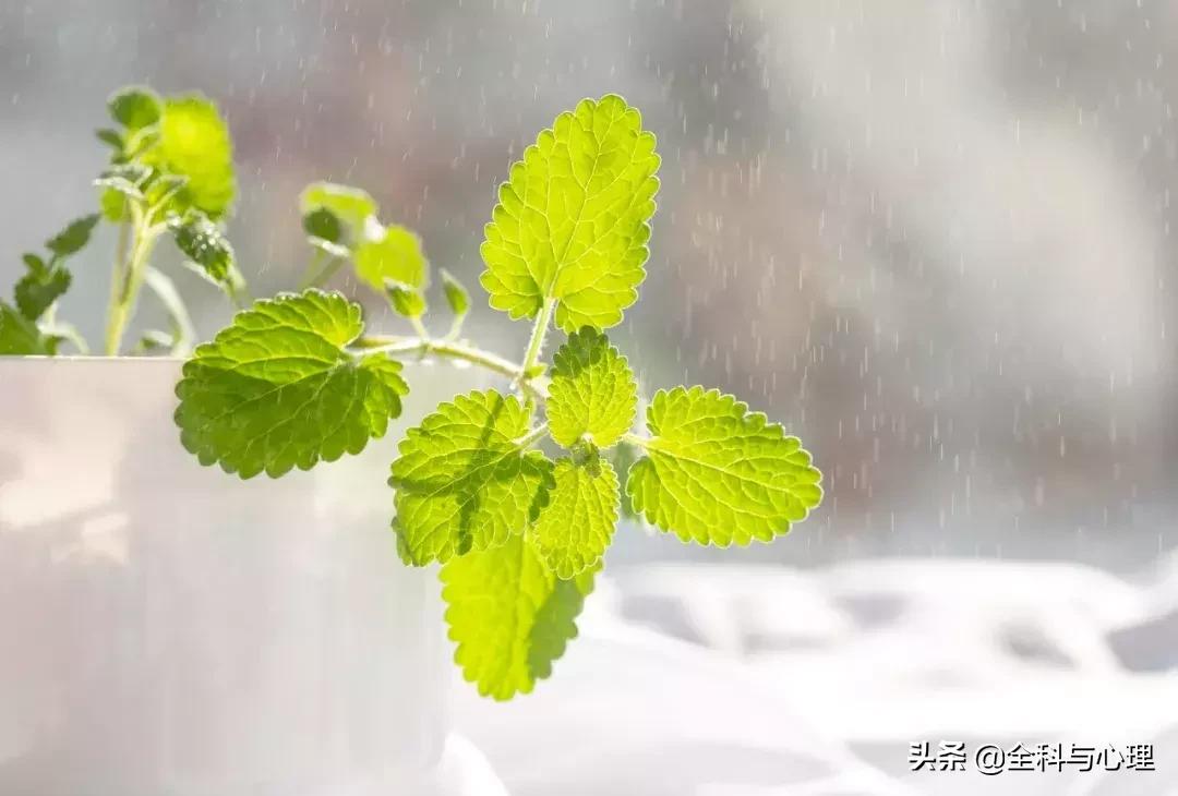 优秀的十条人生格言,人生格言励志及解读