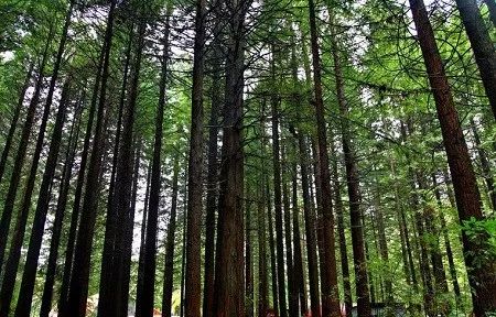 难忘的新西兰之行,在新西兰难忘的日子