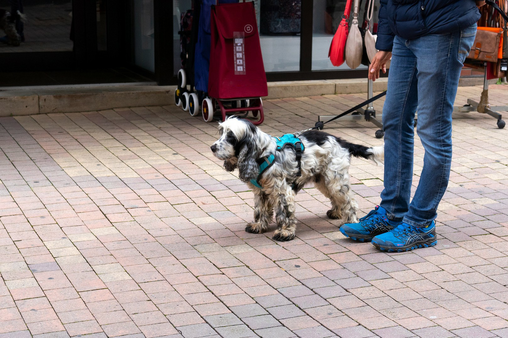 索尼A7CII全画幅微单,索尼微单a7c深度评测