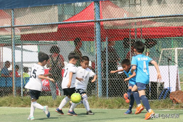 浙江省足球青少年比赛,全国青少年足球总决赛在哪开赛