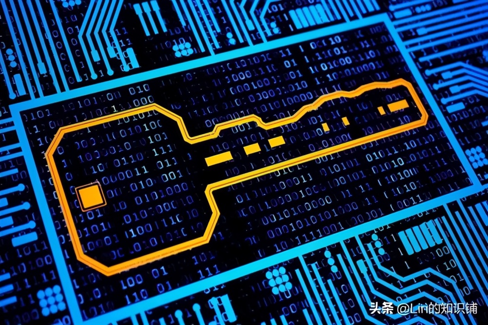 有趣又真实的冷知识,有趣的冷知识简直有点不可思议