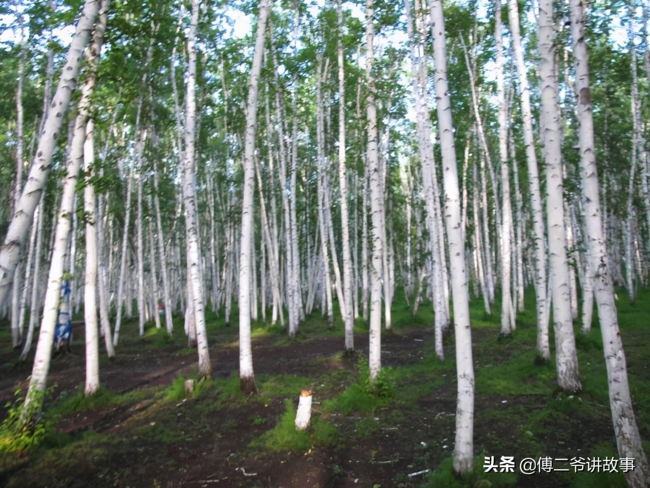 满族习俗有哪些,满族在黑龙江的民俗
