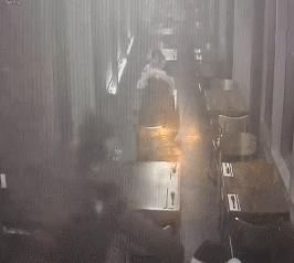 加拿大鹅街头被抢,加拿大鹅10天被抢七次