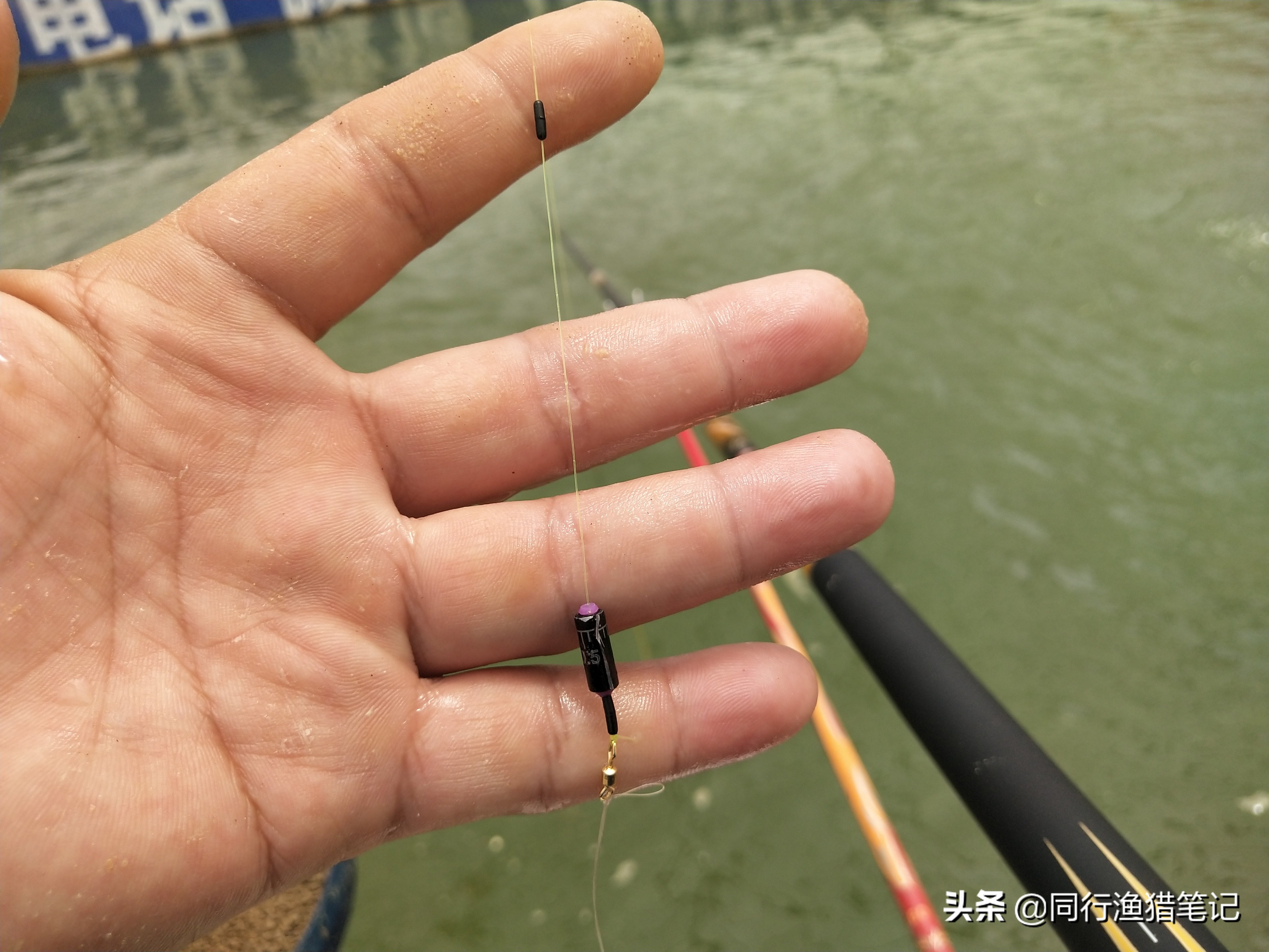 两权相害取其轻出处,两权相害取其轻对吗