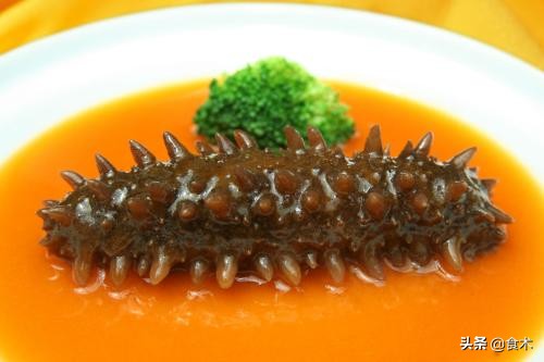 海参有哪些滋补功效作用,海参是老少皆宜滋补佳品