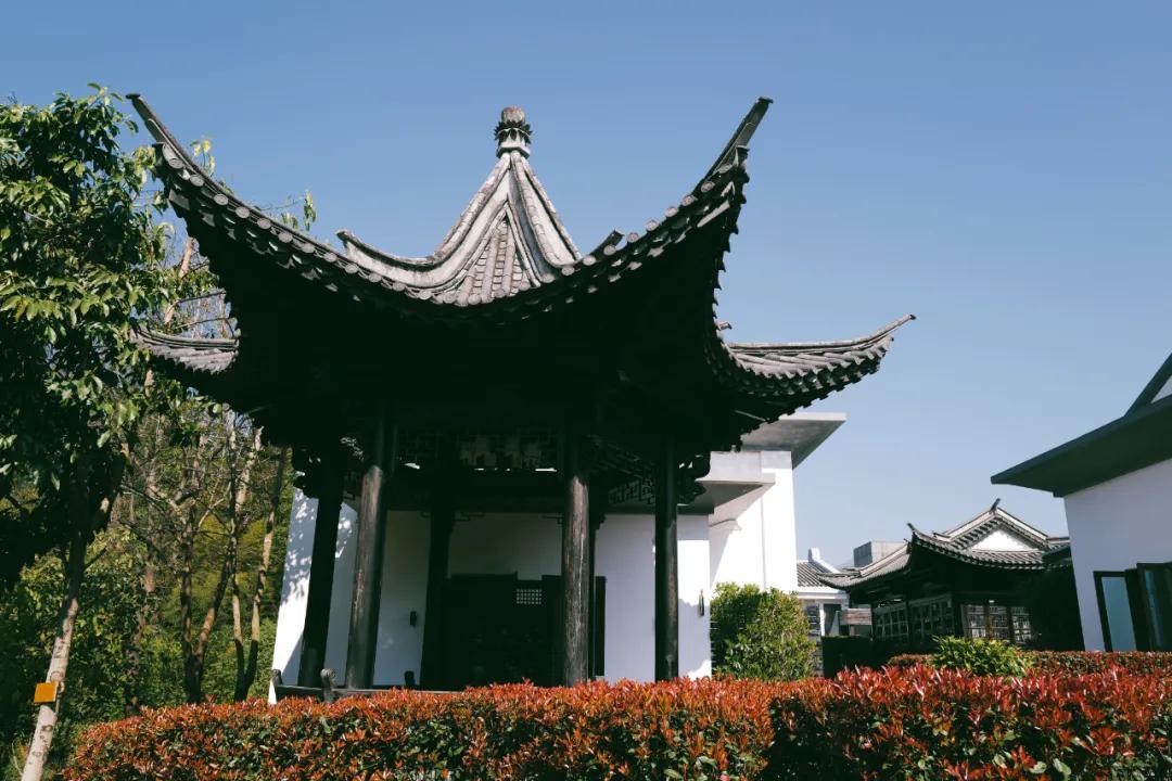 想泡温泉去哪个城市,想泡温泉不妨到成都这里来