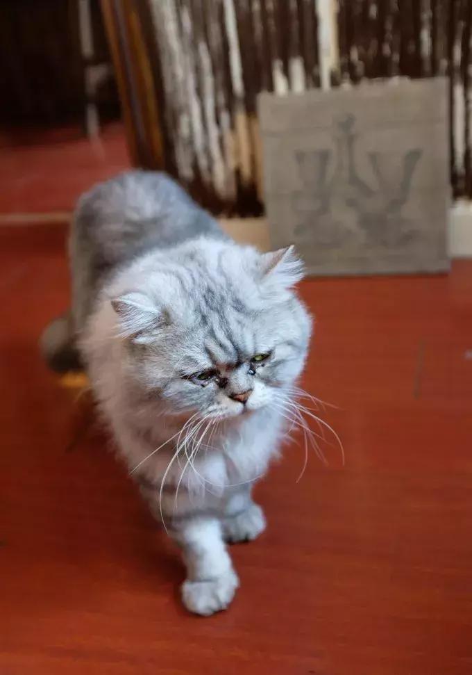 青岛小众打卡必去的地方,五一青岛小众攻略推荐