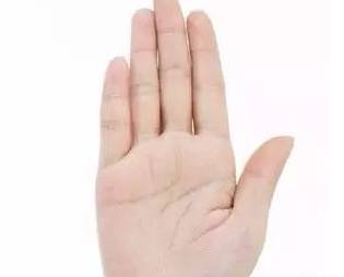 手掌什么颜色代表疾病及图片,手掌各个穴位的颜色反映什么疾病?