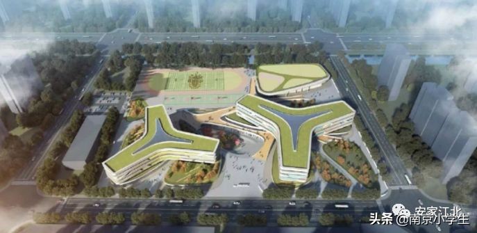 教育迎来重大改革,教育迎来什么利好政策