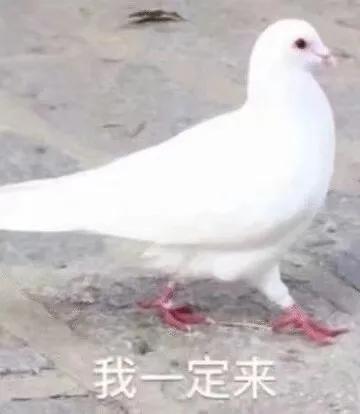 高中生考试紧张怎么办如何解决,高中生一考试紧张就肚子疼