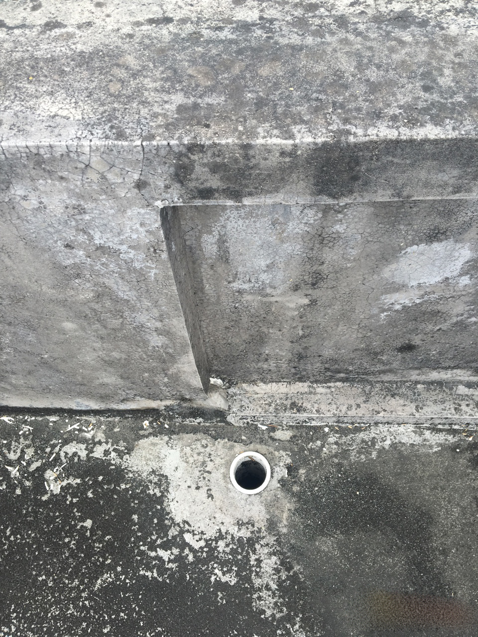 楼顶排水口堵塞怎么解决,我家一楼下水道老堵怎么办