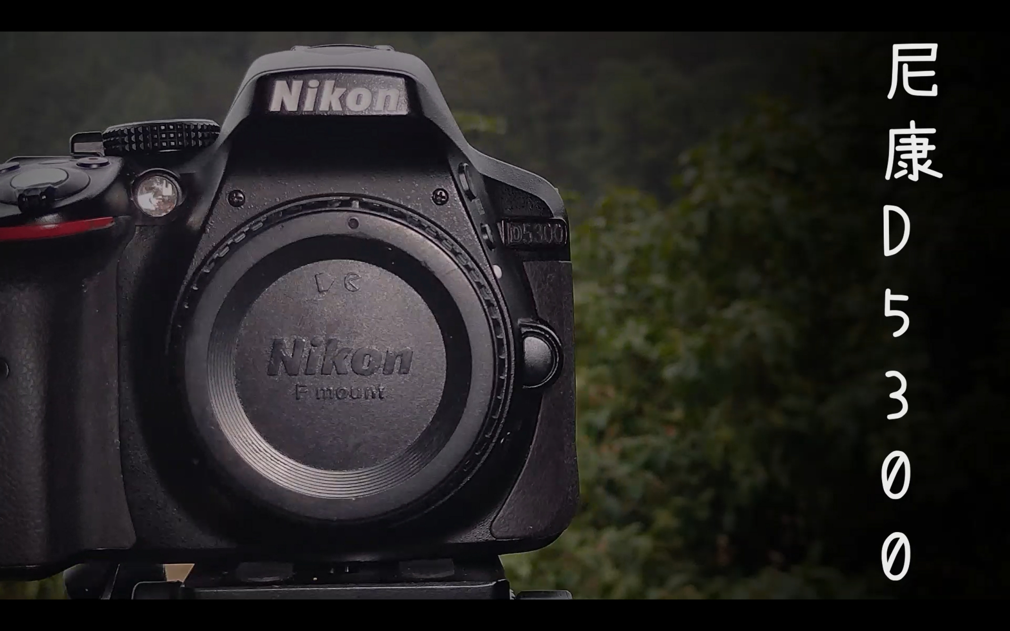 尼康d5300相机详细功能讲解,用了五年的尼康d5300还值得入手吗
