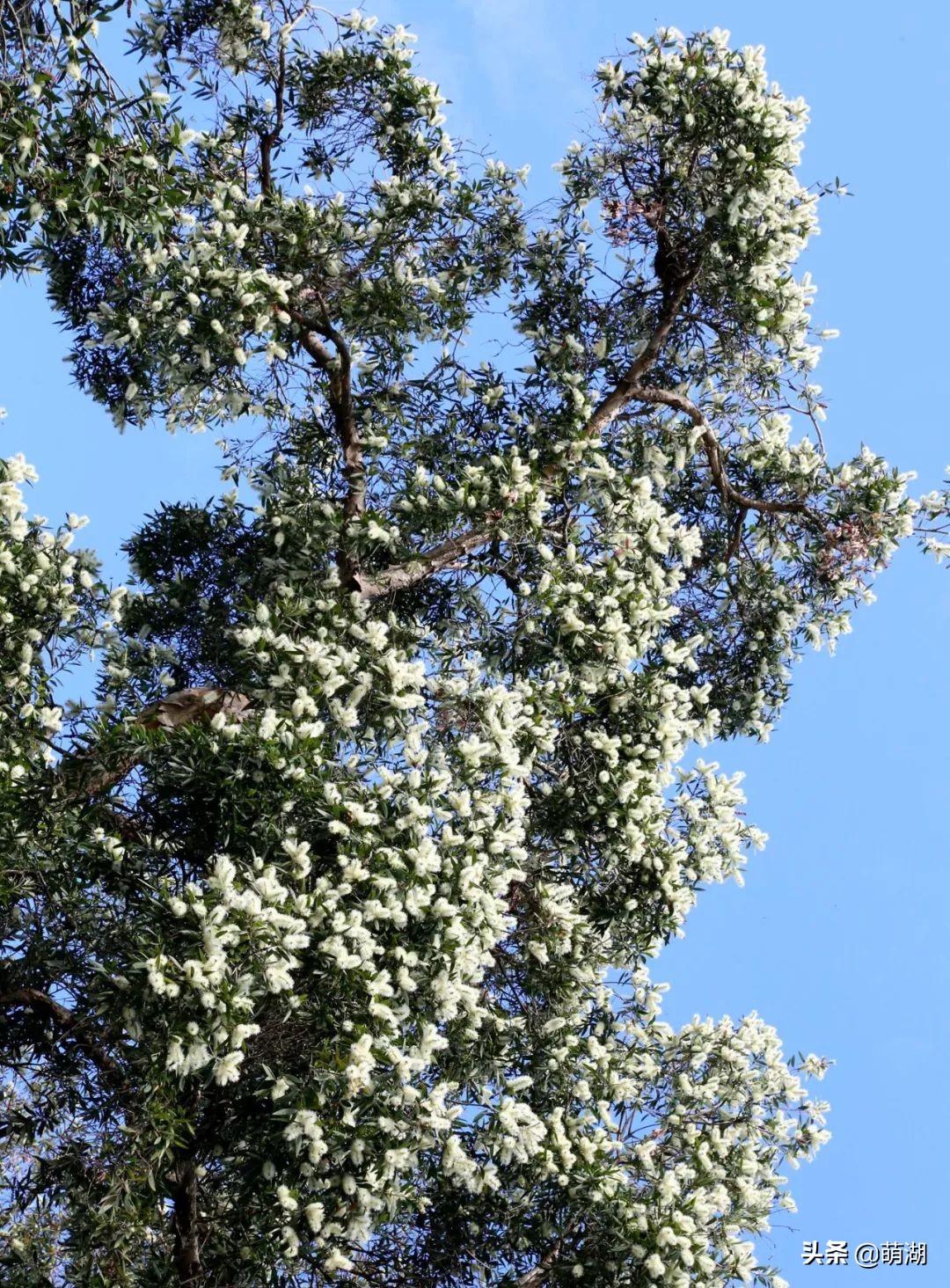 10年红专厂│广州文艺青年的圣地，在一步步远去