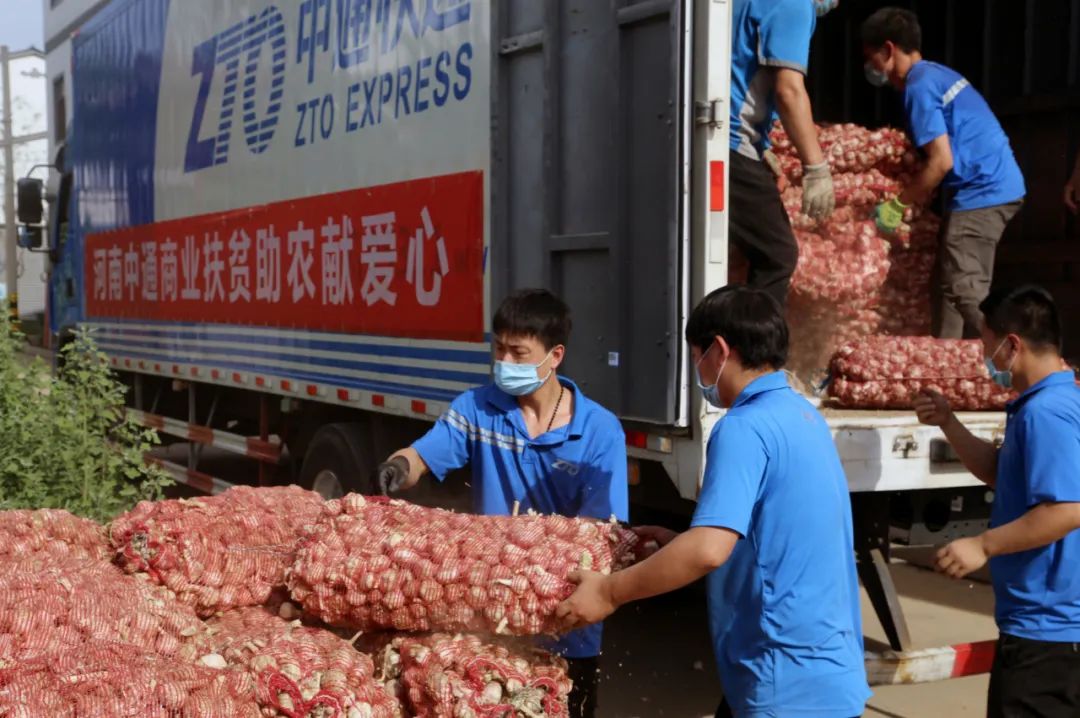 河南蒜农滞销紧急助农,河南中牟今年大蒜滞销吗