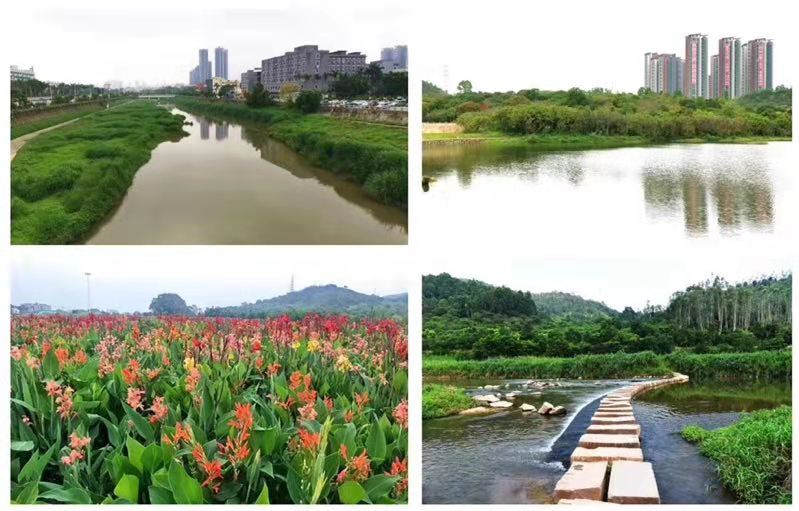 龙岗新楼盘现房出售价格2万左右,龙岗房价4万左右的楼盘