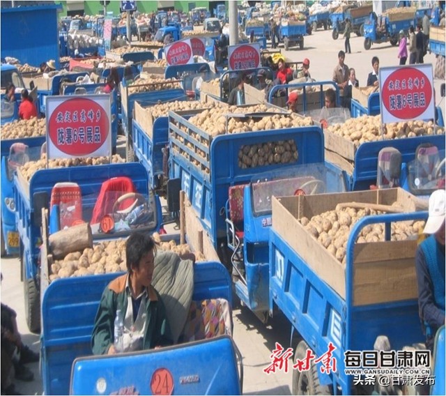 王一航：与农民一起扶犁37年马铃薯育种世界称王